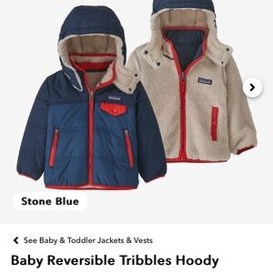 Patagonia Riversable jacket